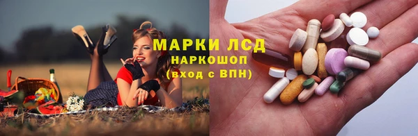 мяу мяу мука Медвежьегорск