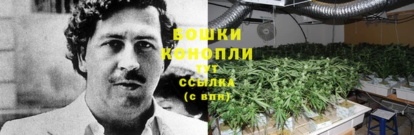 мяу мяу мука Мегион