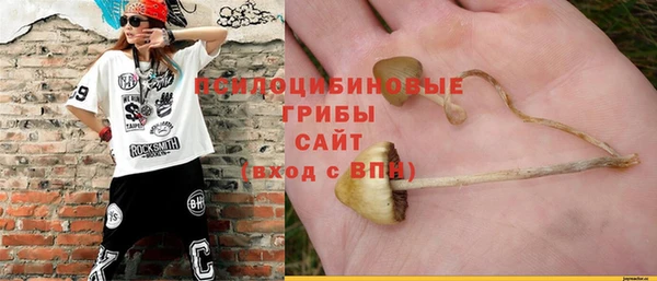 ГАЛЛЮЦИНОГЕННЫЕ ГРИБЫ Майский