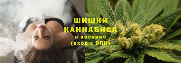 ГАЛЛЮЦИНОГЕННЫЕ ГРИБЫ Майский