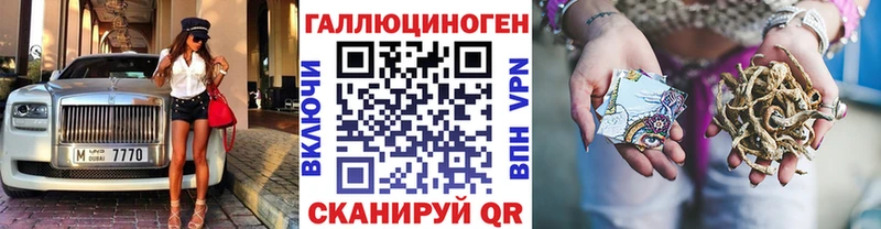 Псилоцибиновые грибы Psilocybine cubensis  Кущёвская 