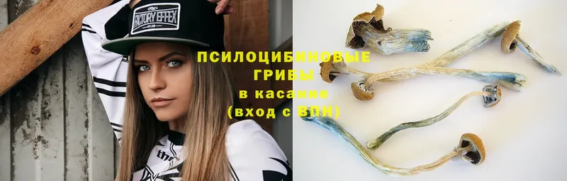 Псилоцибиновые грибы MAGIC MUSHROOMS  Кущёвская 