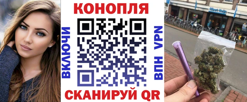 где купить   Кущёвская  Шишки марихуана сатива 